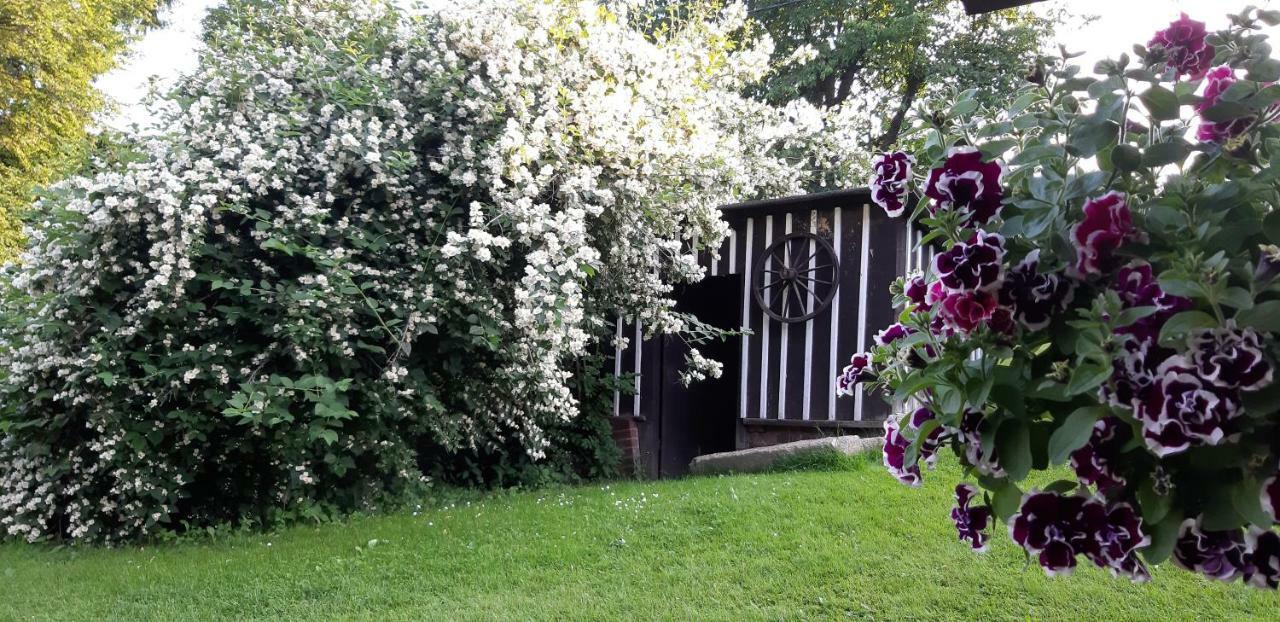 Ubytovani Monika Paseky nad Jizerou Bagian luar foto