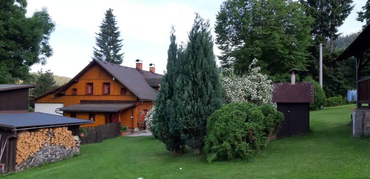 Ubytovani Monika Paseky nad Jizerou Bagian luar foto