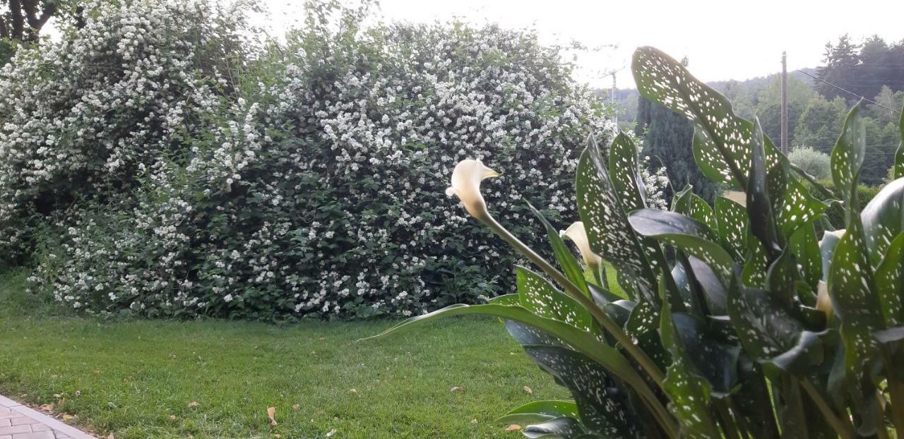 Ubytovani Monika Paseky nad Jizerou Bagian luar foto